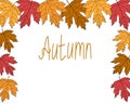 Postcard frame autumn maple leaves on a white background vector illustration Royalty Free Stock Photo